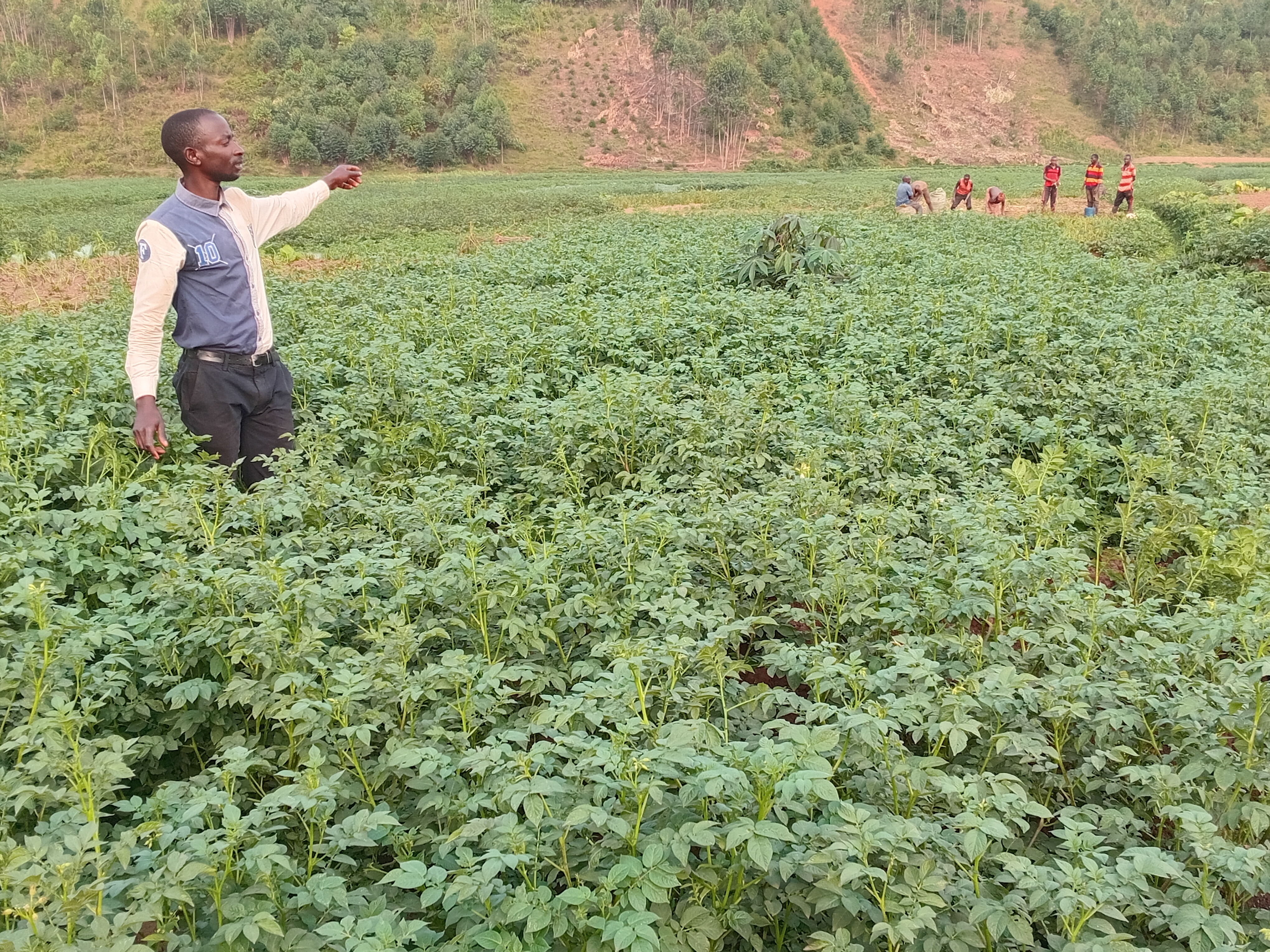 Autonomisation Economique