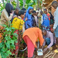 L’urine pour la fertilisation : la jeunesse et son utilisation